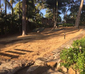 HortCulture Before Lawn Installation