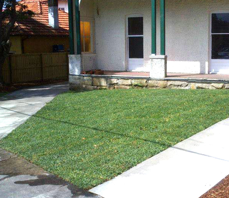 After Lawn Installation